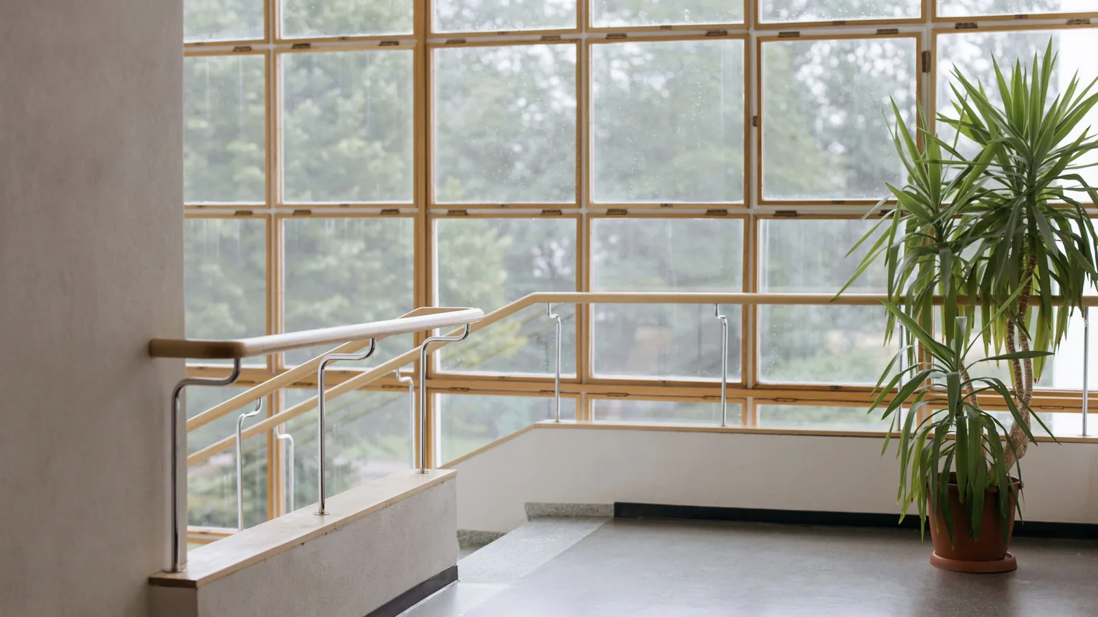 A quiet stair landing with wooden handrails, tall windows onto trees and a potted plant.